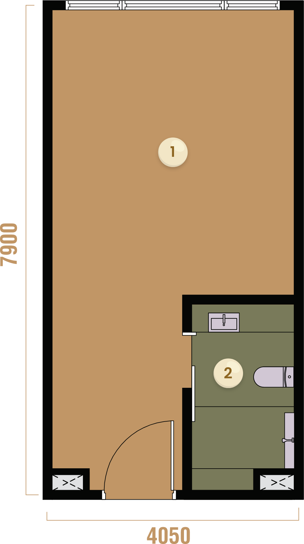 Unit Plan C1