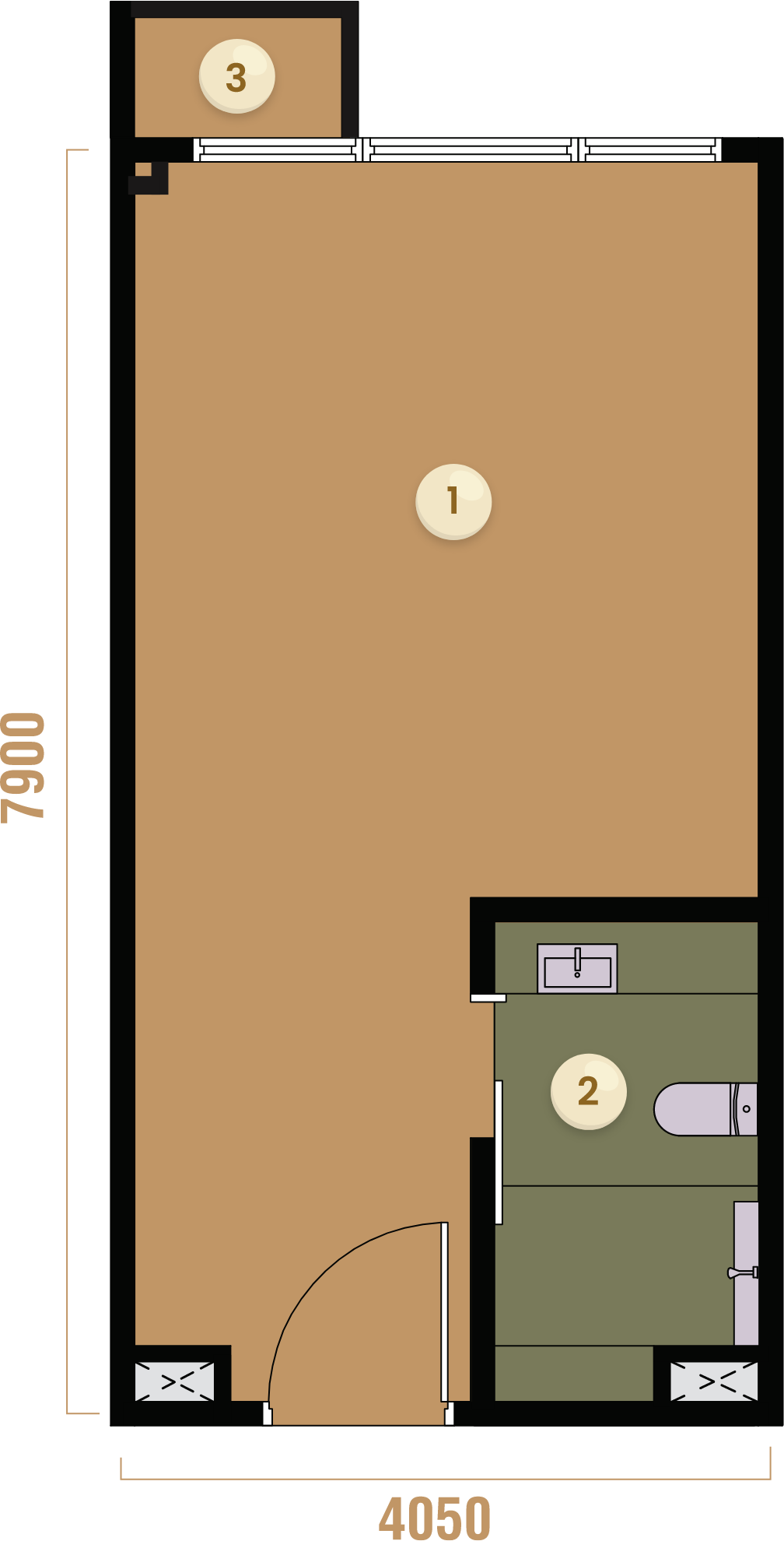 Unit Plan C2